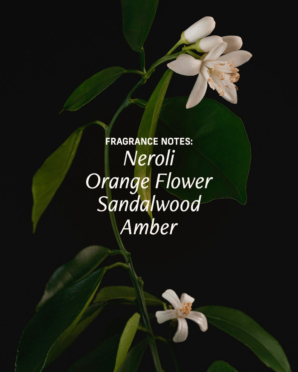 Naked Neroli - Mandelic Acid Brightening Deodorant Gel