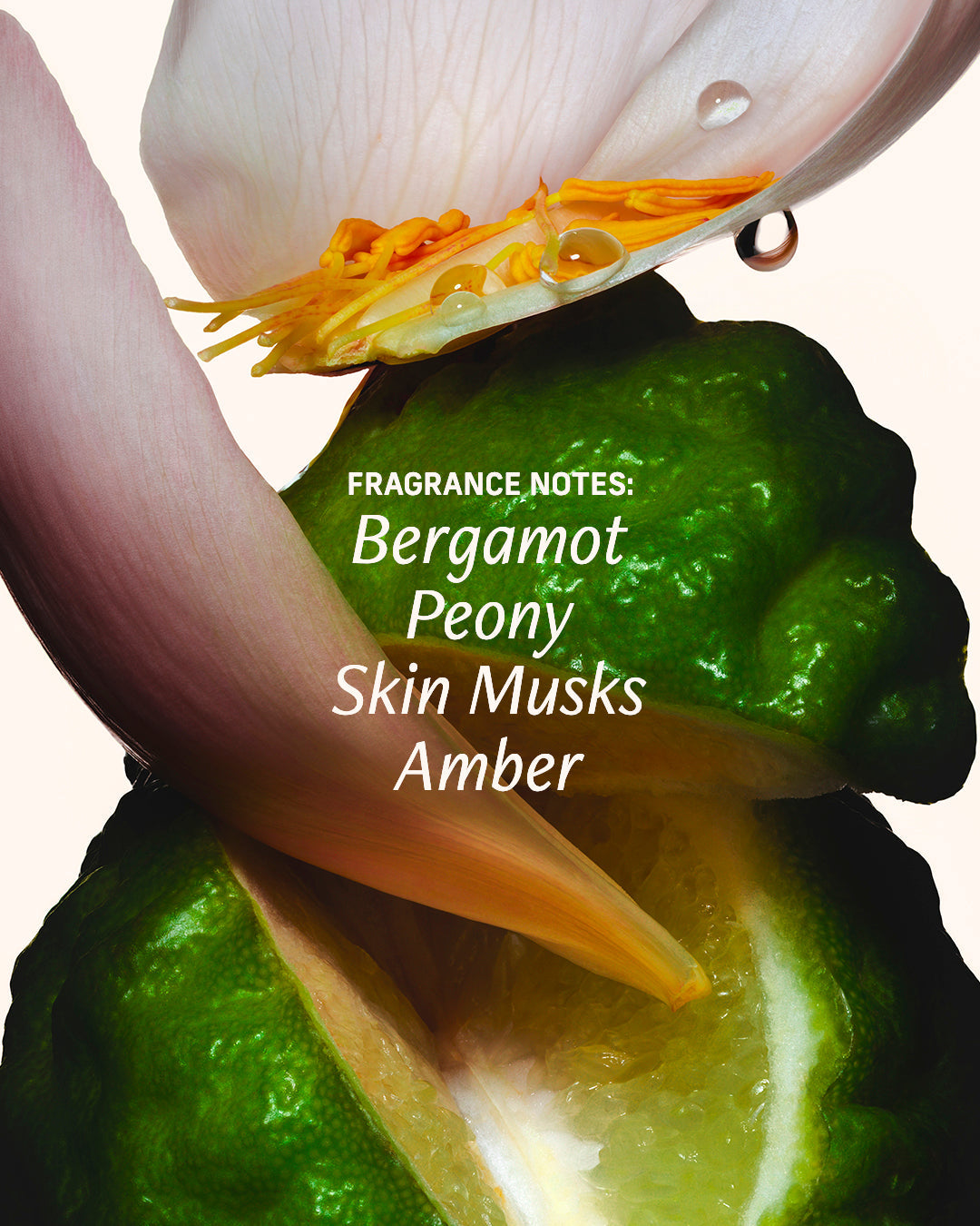 Bergamot Bond - Perfume Oil