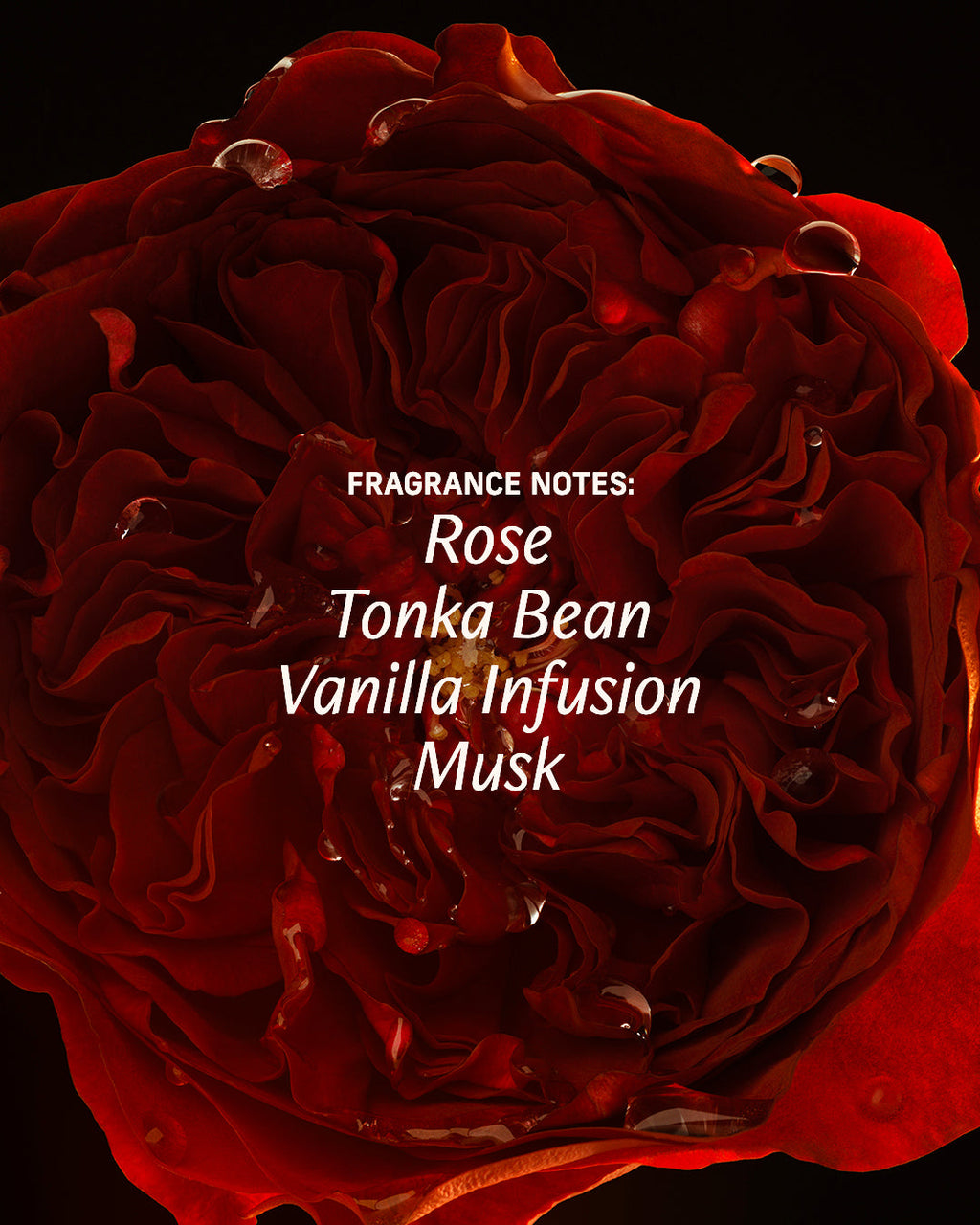 Sex Musk - Perfume Oil
